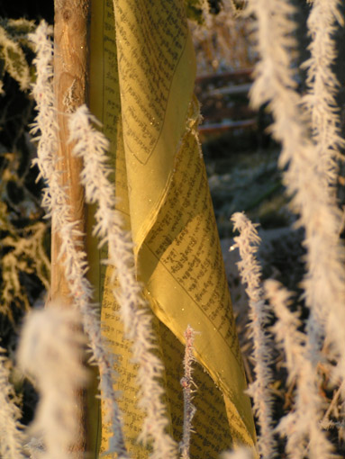 Drapeau de pri�res